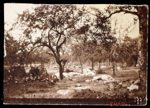Guerre 14-18 photo 1918 chevaux allemands morts Courthiézy (Marne)