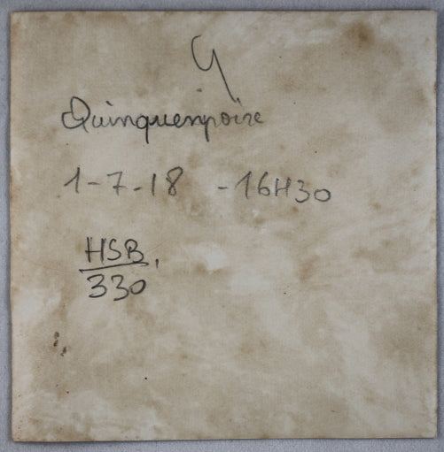 Guerre 14-18 photo aérienne de Quincampoix (Seine-Maritime) juillet 1918