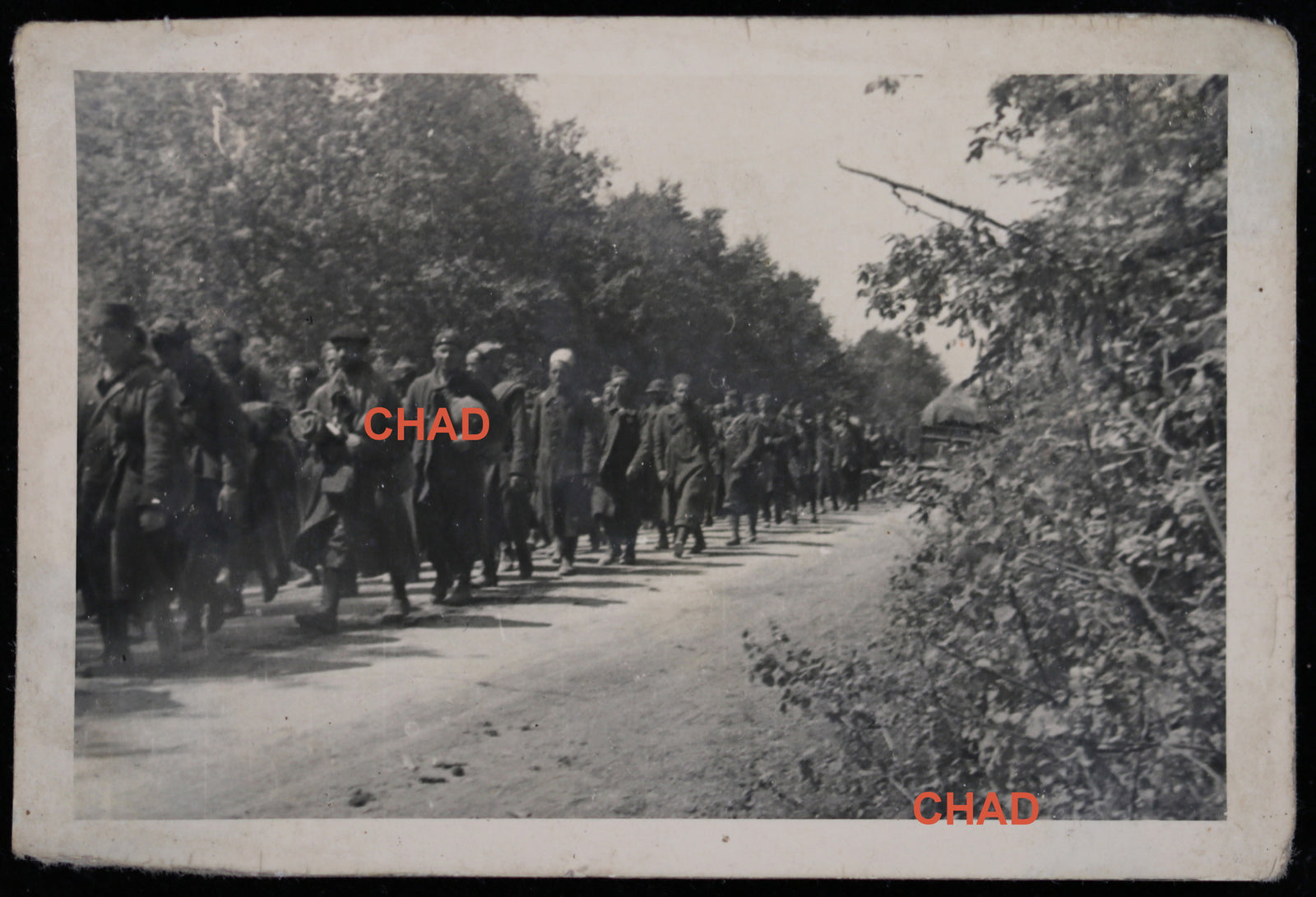 Guerre 39-45 photo colonne de PdG francais (coloniaux)