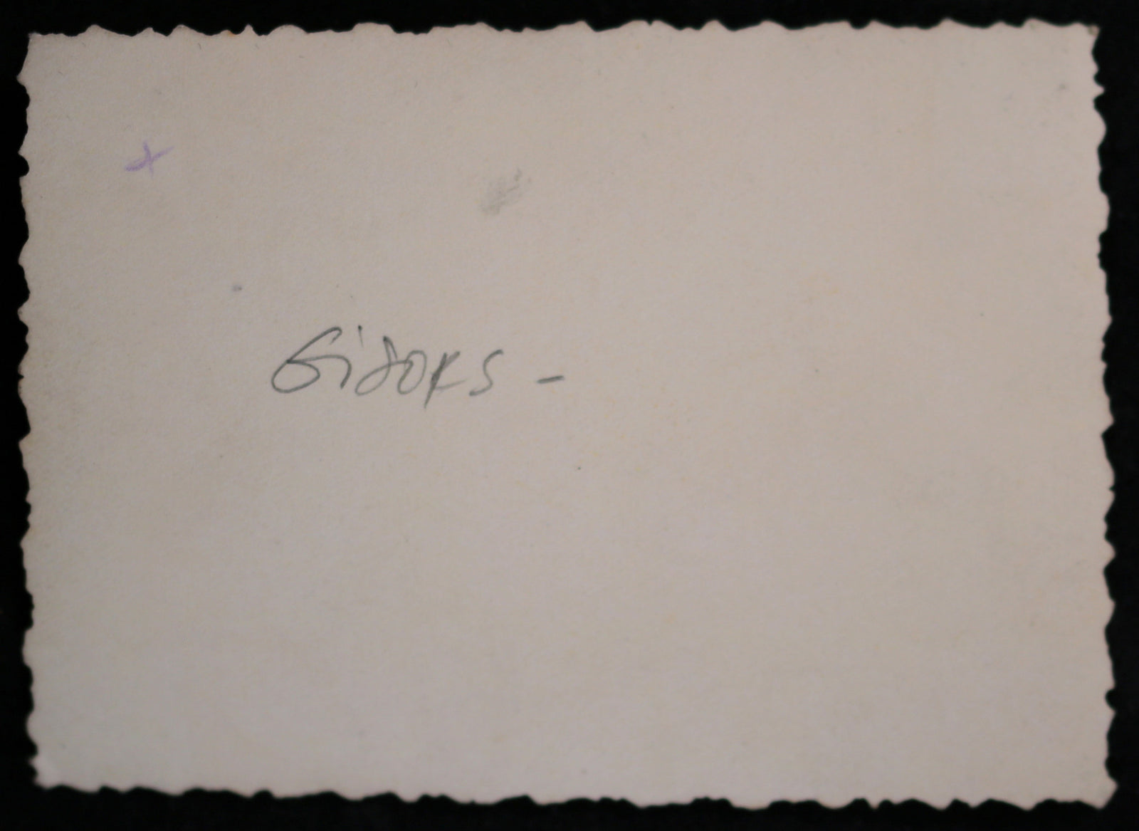 Guerre 39-45 photo soldats allemands autour tombe Gisors (Eure)