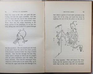 Manual of Taxidermy for Amateurs - 1901