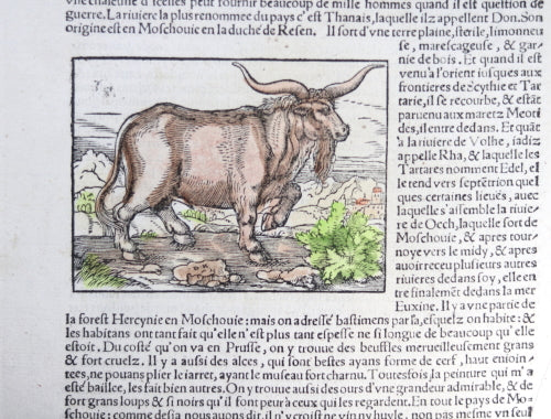 Illustrated page Munster’s De la Cosmographie Universelle c. 1552 #1