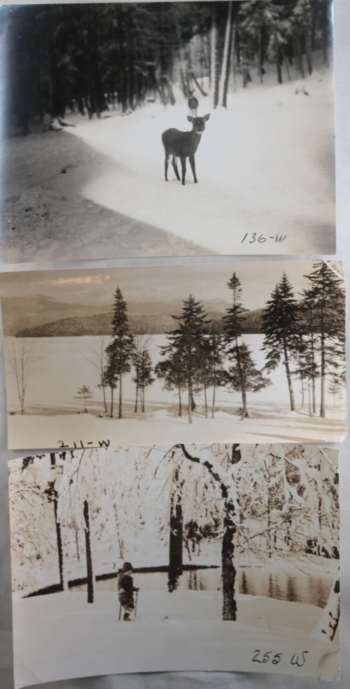 Lot of 31 vintage B&W Lake Placid NY and area winter photos