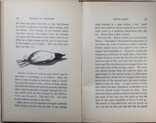 Manual of Taxidermy for Amateurs - 1901 Manual of Taxidermy for Amateurs - 1901