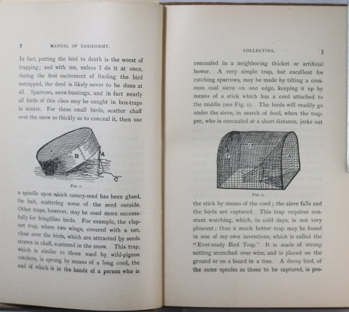 Manual of Taxidermy for Amateurs - 1901 Manual of Taxidermy for Amateurs - 1901