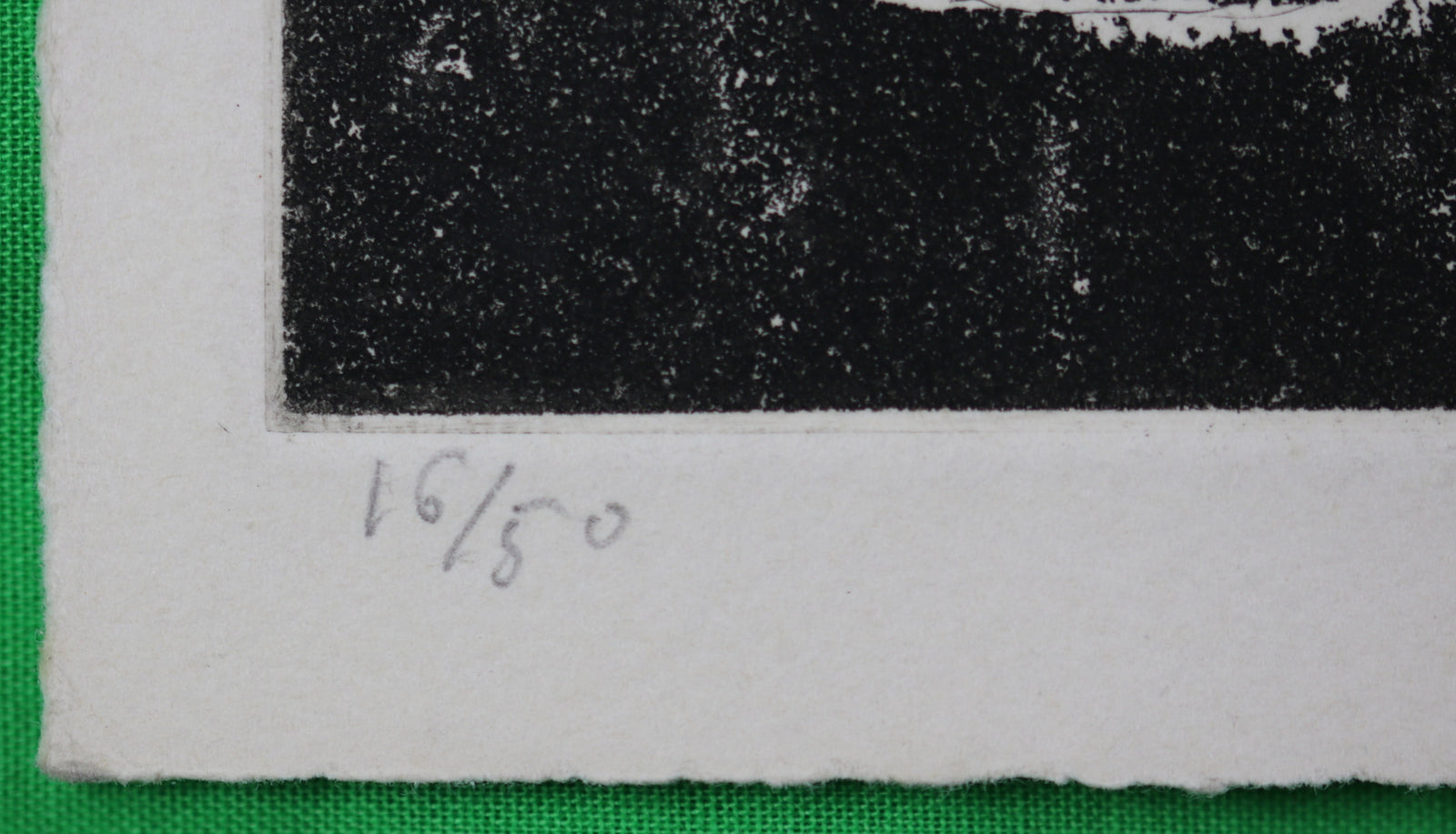 Numbered print of leaf