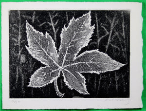 Numbered print of leaf