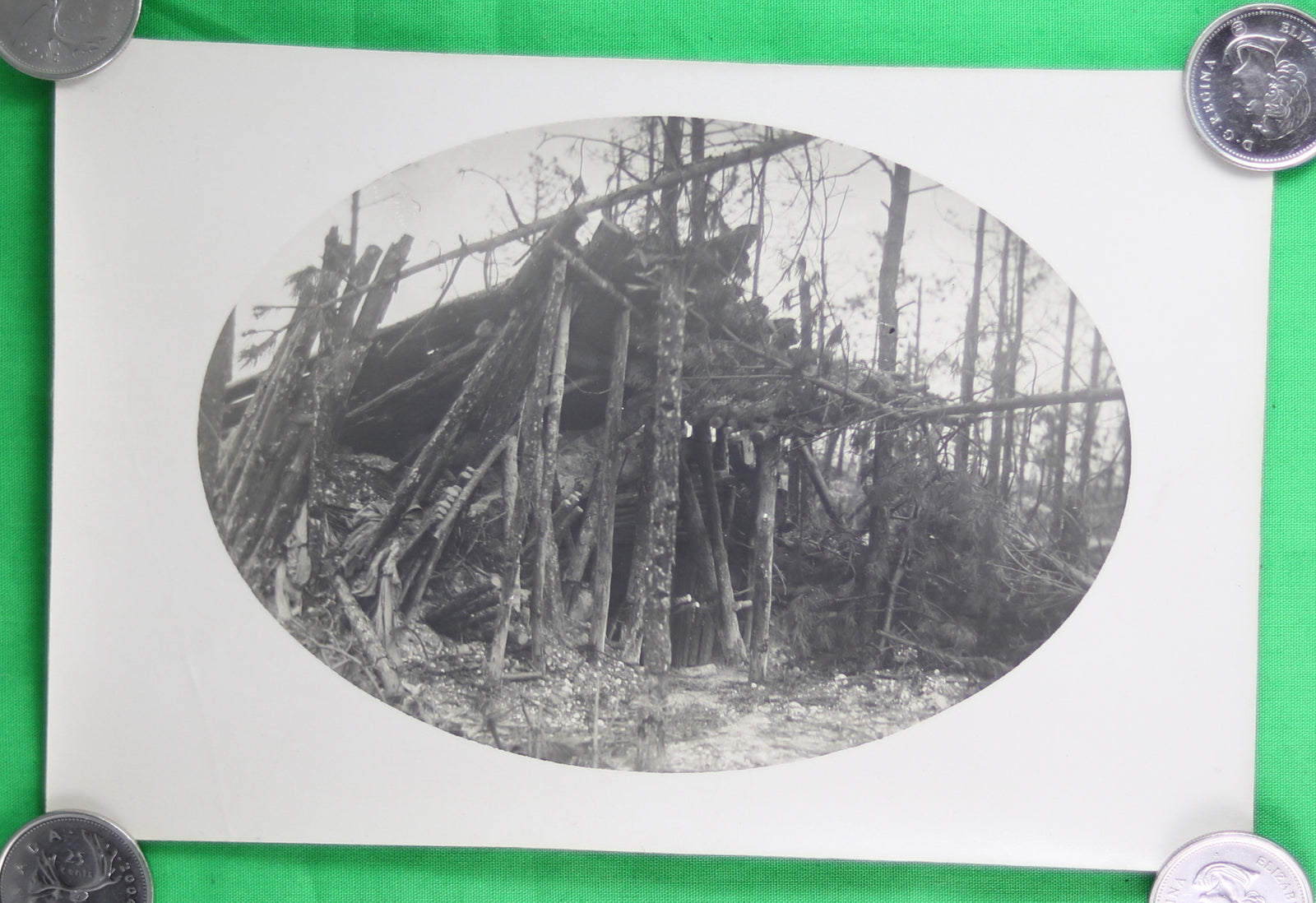 Photo Guerre 14-18 Bois Moscou Marne