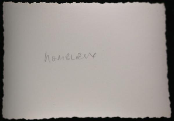 Photo allemands avec canon artillerie détruit Hombleux (1940)