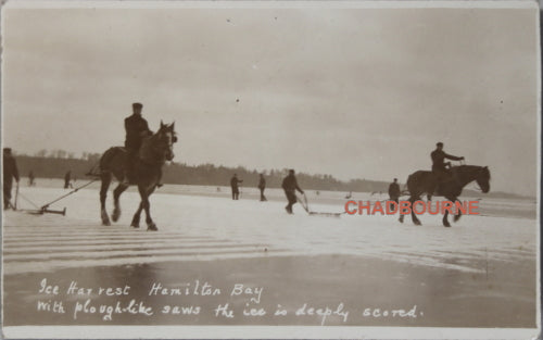 Photo horses pulling ice saws, ice harvesting Hamilton Canada c. 1910s