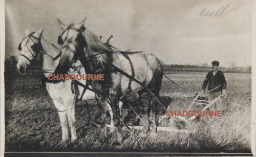 Photo postcard farmer ploughing field with two horses Canada c. 1910
