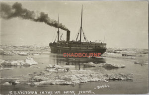 Photo postcard of S.S. Victoria, Nome Alaska c. 1910s