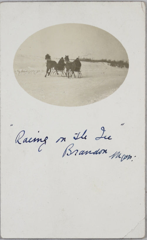 Photo postcard of horses racing on ice Brandon MB (Canada) c. 1910