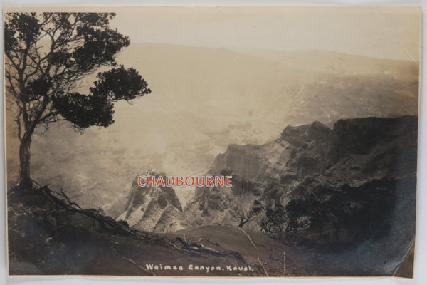 Photo of Waimea Canyon Kauai (Hawaii) by W.J. Senda c.1920s