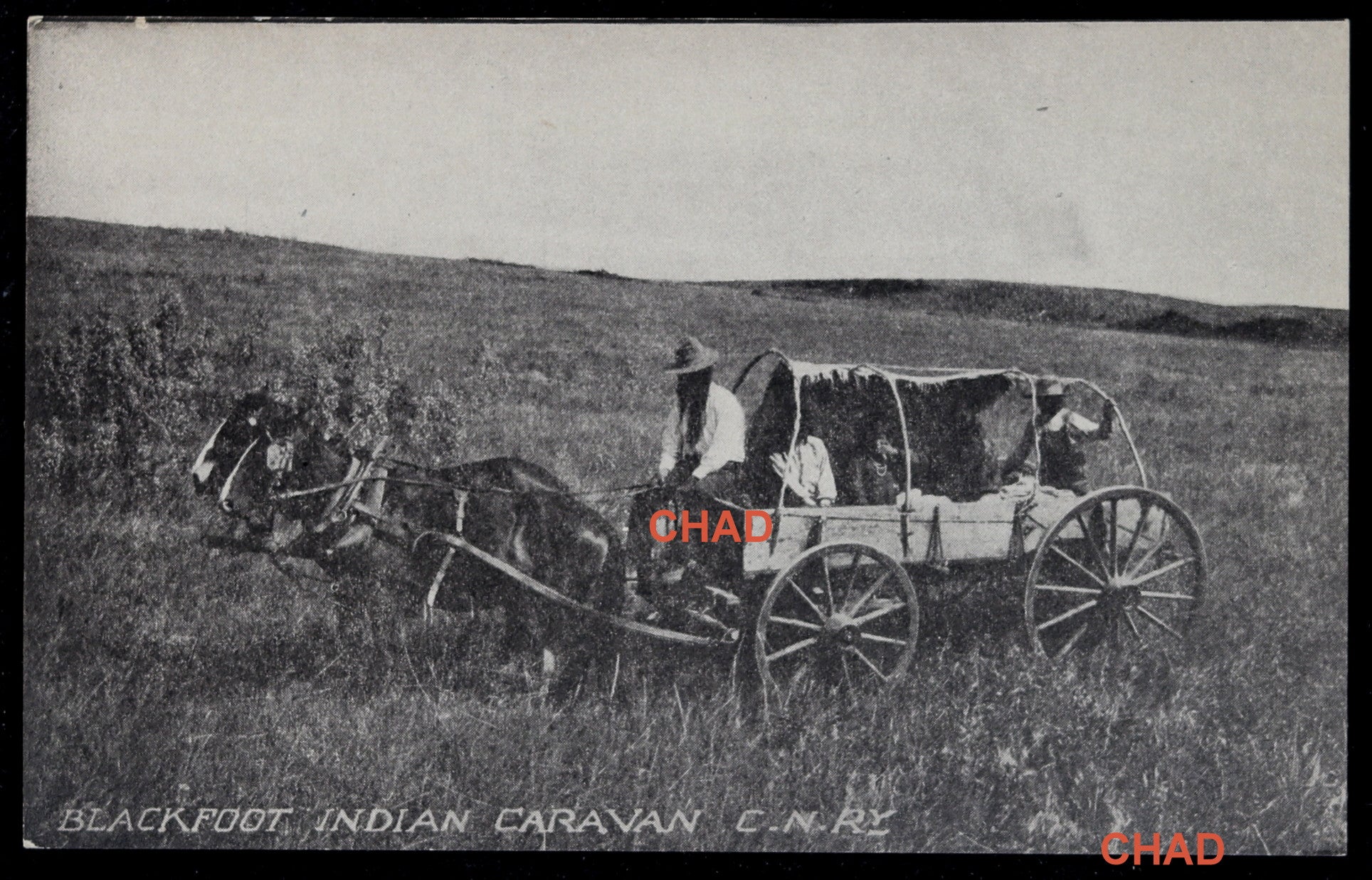 Postcard CNR photo Blackfoot Indian Caravan Saskatchewan @1920 Postcard CNR photo Blackfoot Indian Caravan Saskatchewan @1920