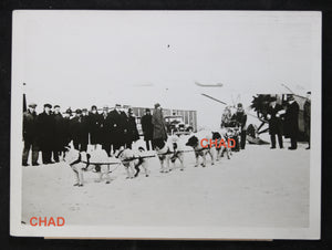 Press photo dog sled used for mail transport Canada 1930s