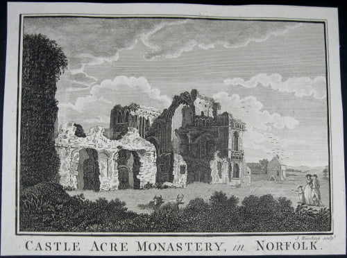 Print 'Castle Connell, in the County of Limerick' @1790 Print 'Castle Connell, in the County of Limerick' @1790