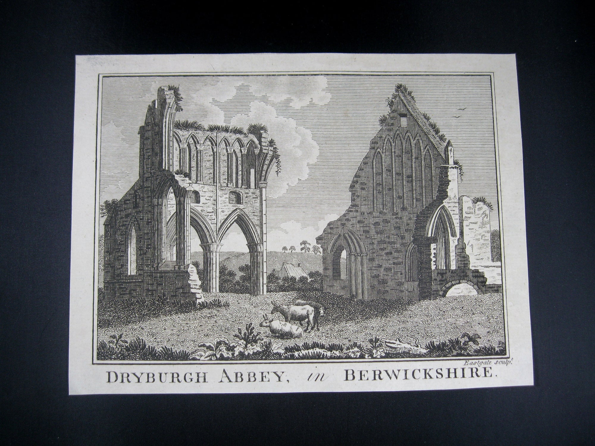 Print 'Dryburgh Abbey, in Berwickshire' @1790