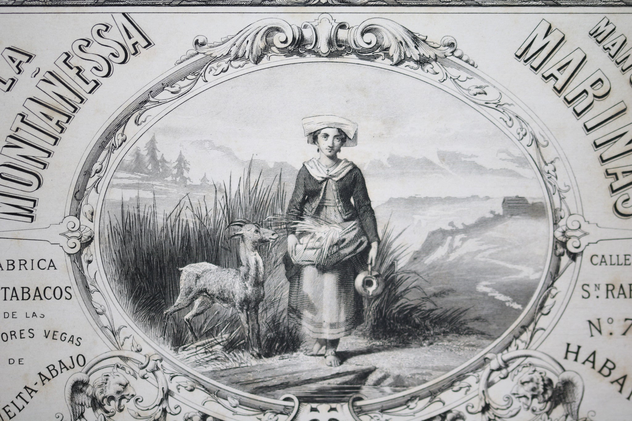 Engraving of logo - Manuel Marinas cigar manufacturer - Havana Cuba (late 1800s)