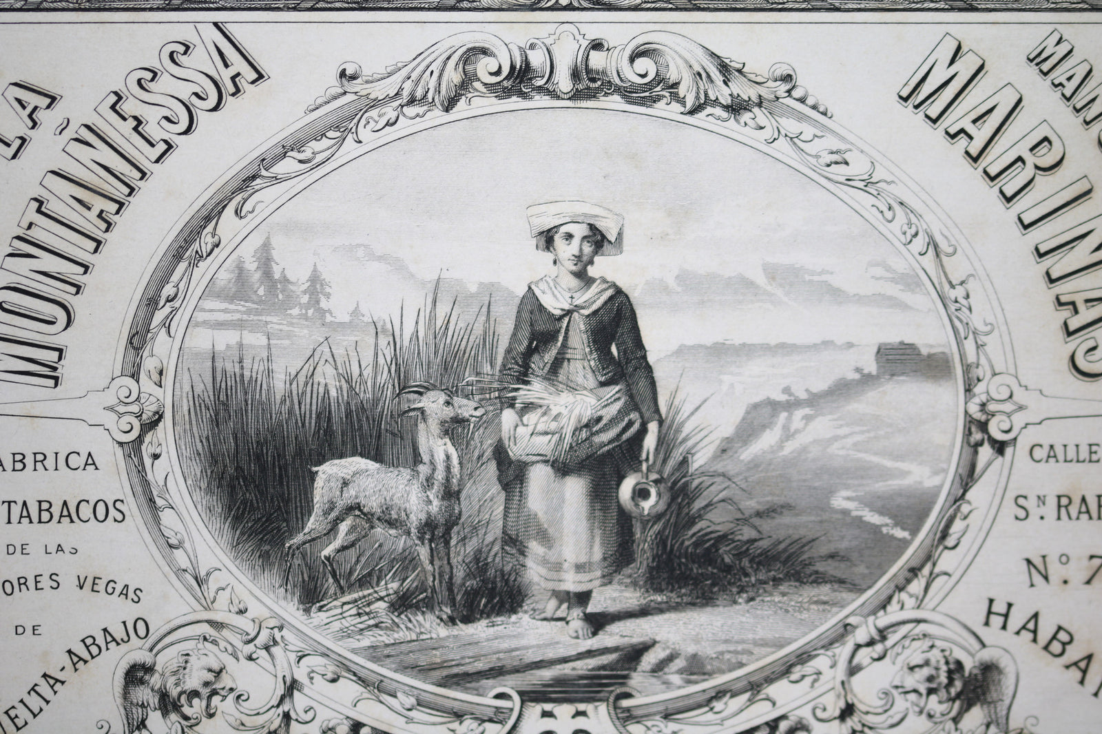 Print of logo - Manuel Marinas cigar manufacturer - Havana Cuba (late 1800s)