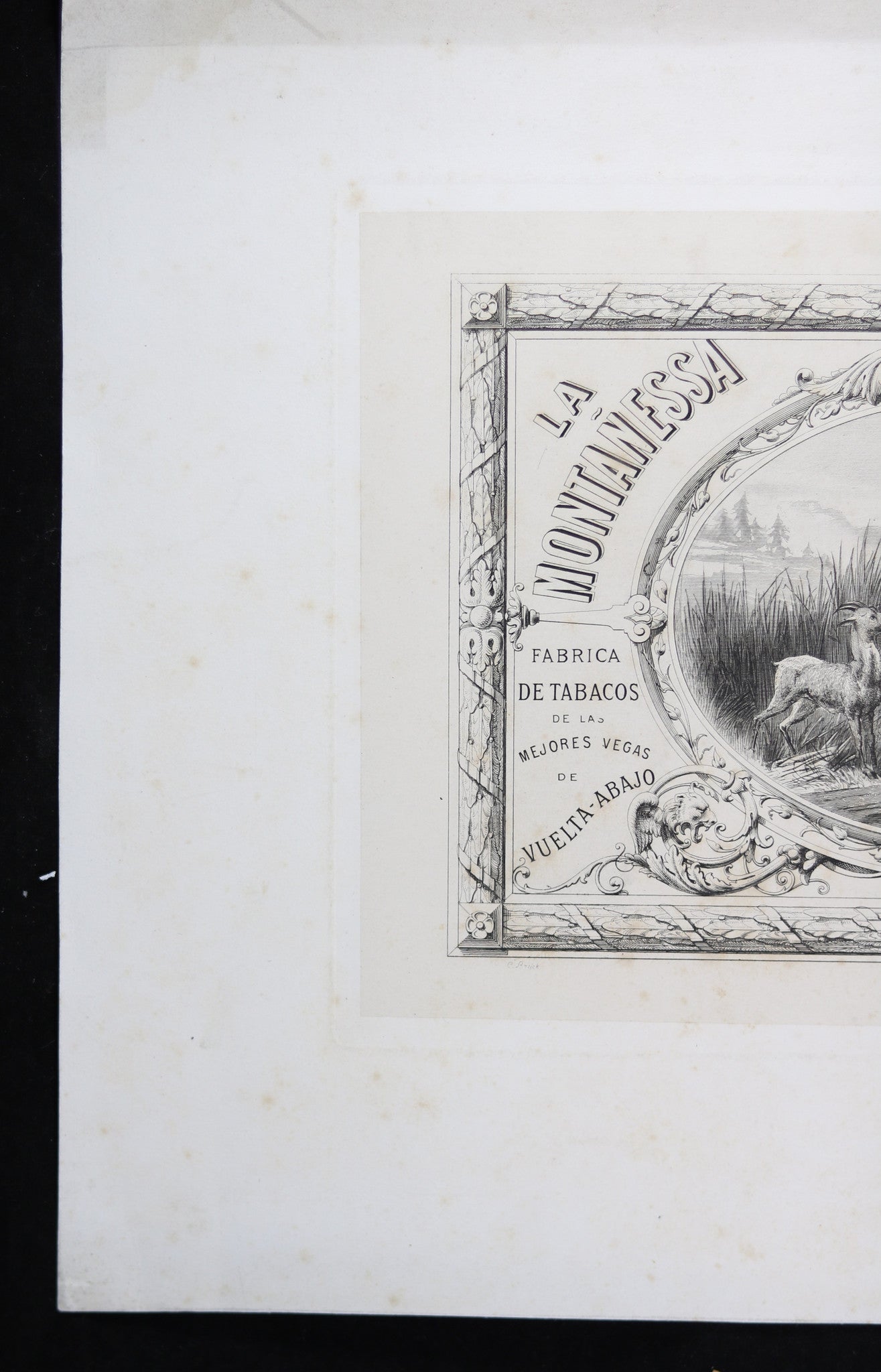 Engraving of logo - Manuel Marinas cigar manufacturer - Havana Cuba (late 1800s)