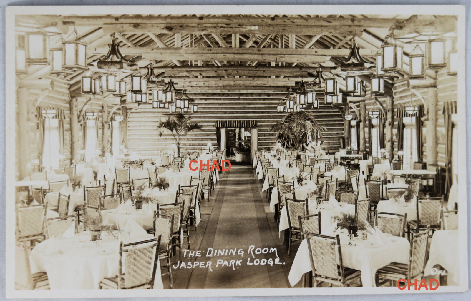 RPPC photo CNR photo of Jasper Park Lodge by F.H. Slark