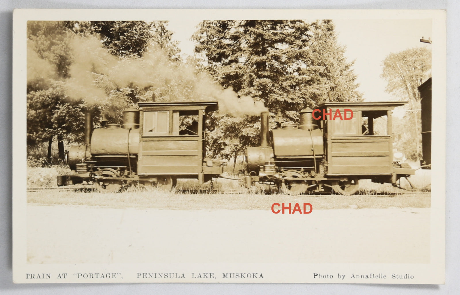 RPPC photo Portage Flyer Train at Peninsula Lake Muskoka Ont. #2