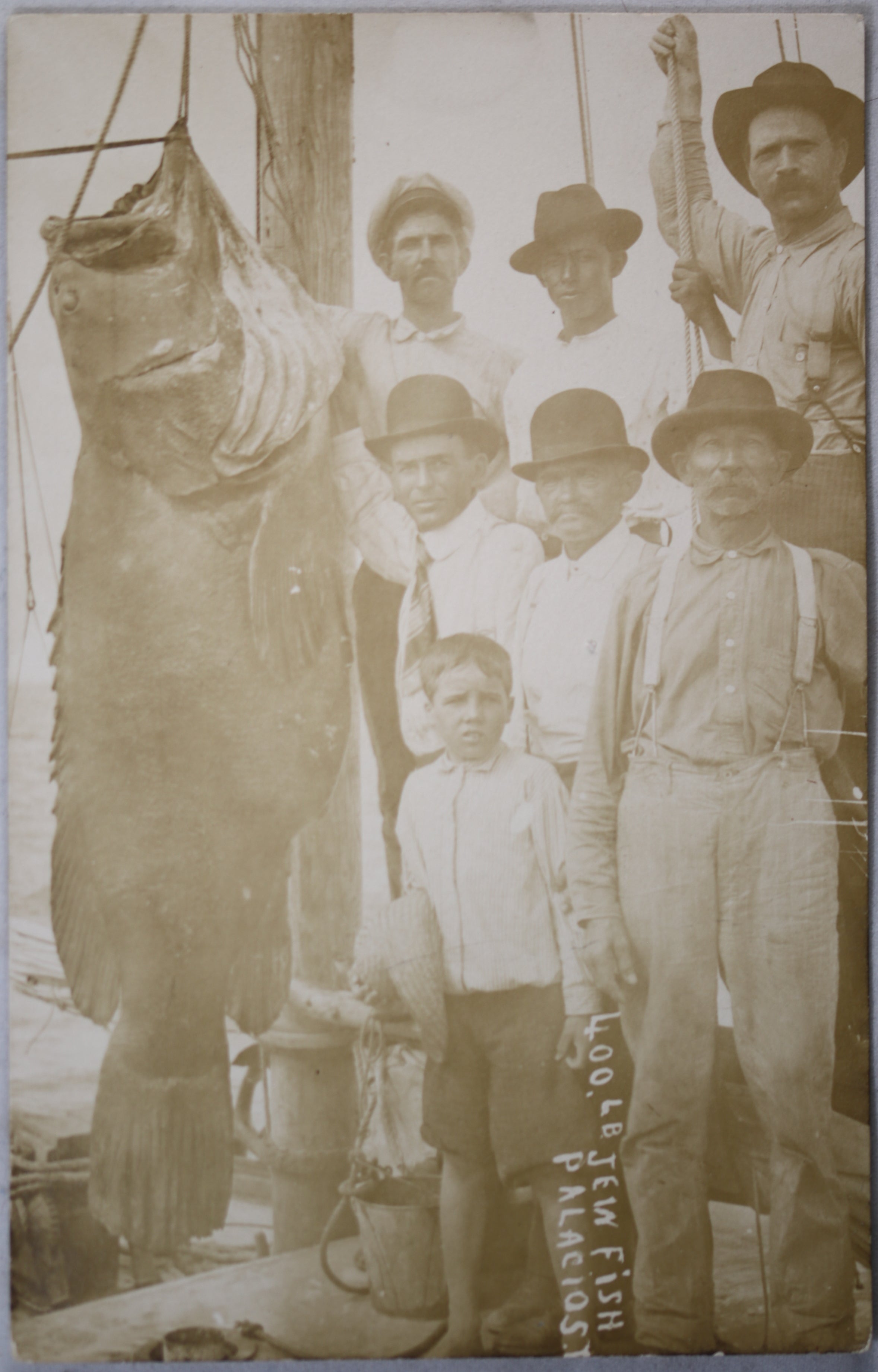 RPPC photo postcard of 400 lb. fish caught off Texas c. 1910 RPPC photo postcard of 400 lb. fish caught off Texas c. 1910