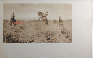 Photo postcard of cowboys and bucking bronco Santa Fe N.M. c. 1920s