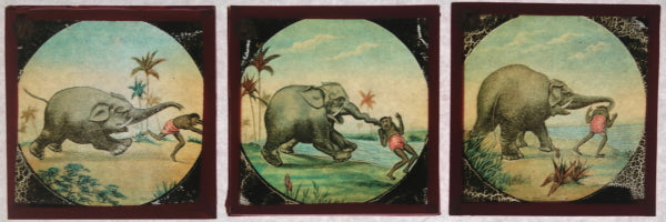 Set 12 French magic lantern slides “The Elephant’s Revenge’ late 1800s