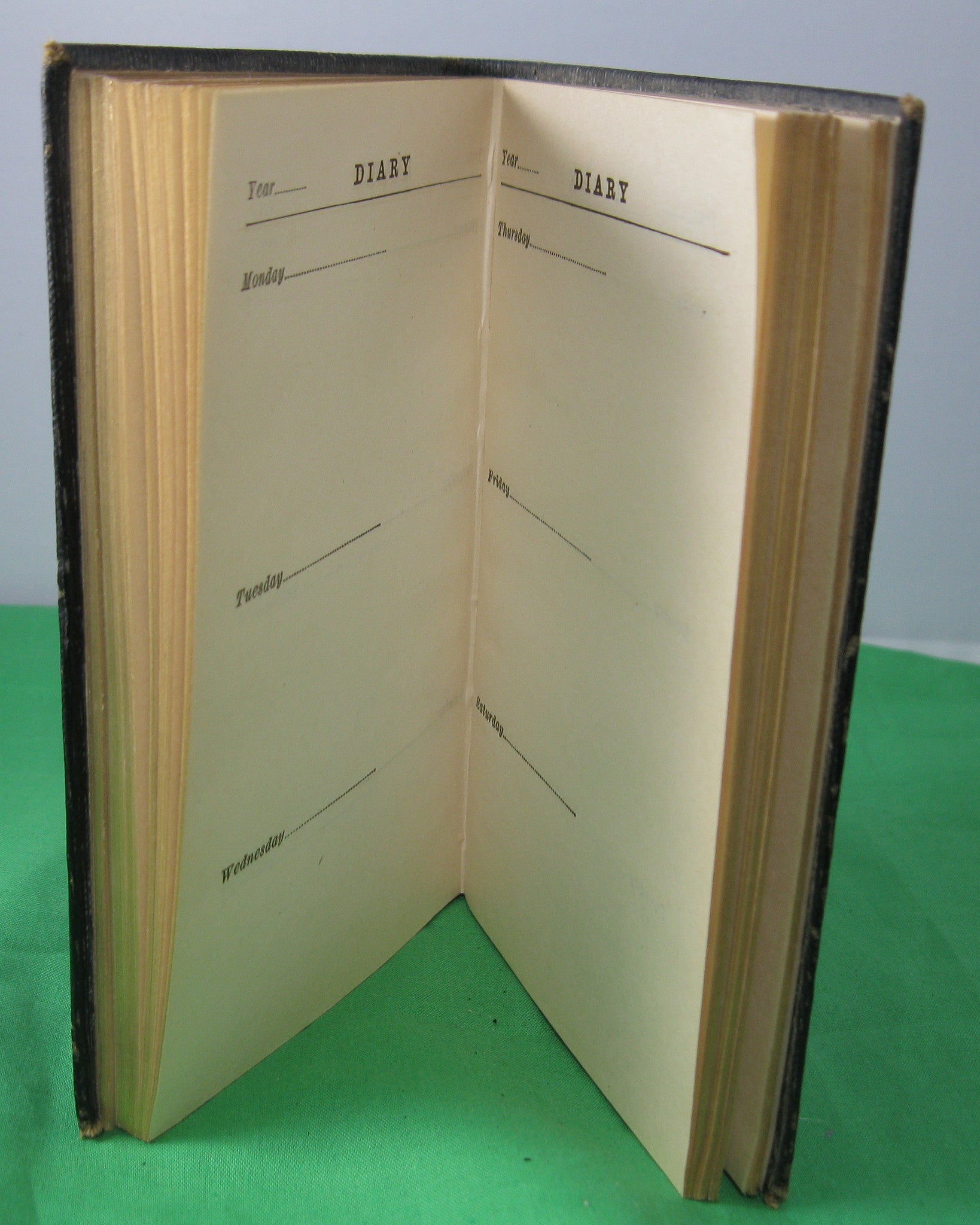 Soldier's - Sailor's DIARY and English-French Dictionary (1917)