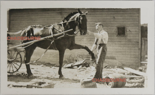 UK photo postcard of man checking a horse’s shoe c. 1910