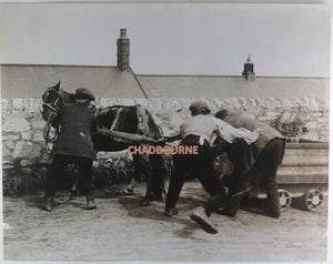 UK collection 10 photos of coal mining pit ponies c.1930