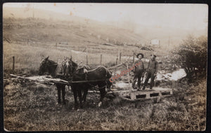 USA West Virginia photo postcard farmers with horse drawn sled c. 1910