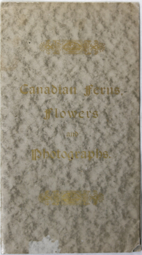 Vintage Canada 'Happy New Years' card, photo and dried flowers c. 1910