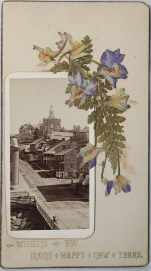 Vintage Canada 'Happy New Years' card, photo and dried flowers c. 1910