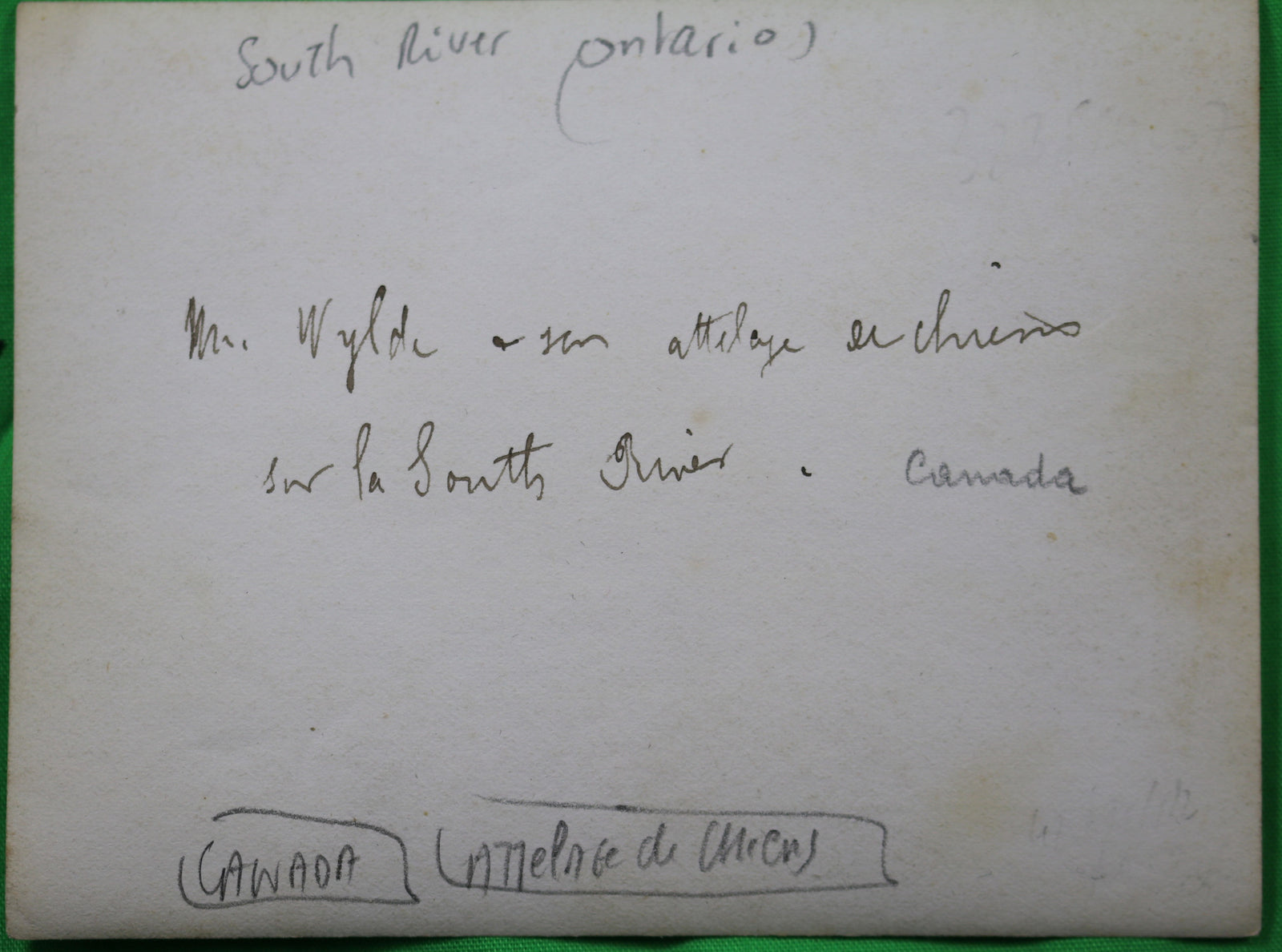 Vintage photo of dog sled team Northern Ontario @1920s