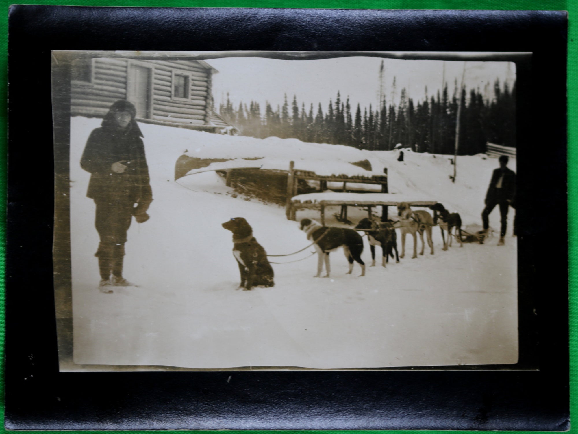 Vintage photo of dog sled team Northern Ontario @1920s