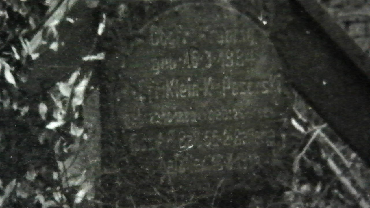 WW1 photo of German war graves in a forest (France)