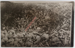 WW1 France photo postcard of mass grave near Sedan