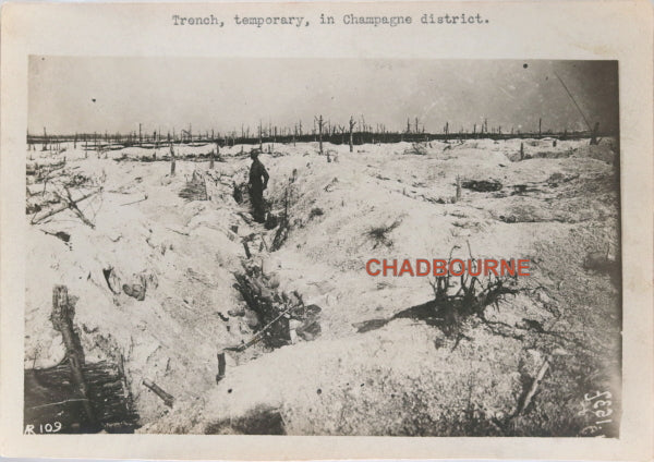 WW1 France, two photos of tranches and desolation, Champagne Region