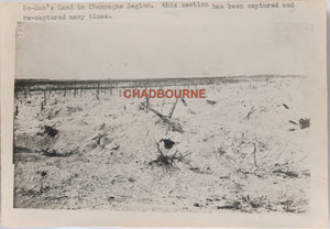 WW1 France, two photos of tranches and desolation, Champagne Region