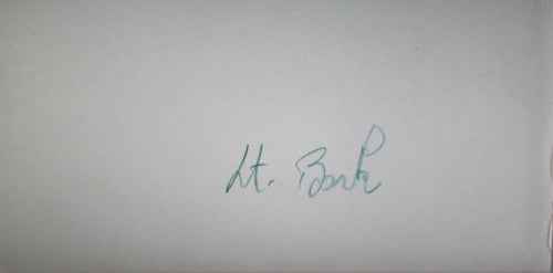 WW1 March 5th 1918 aerial photo of German biplane in flight #1