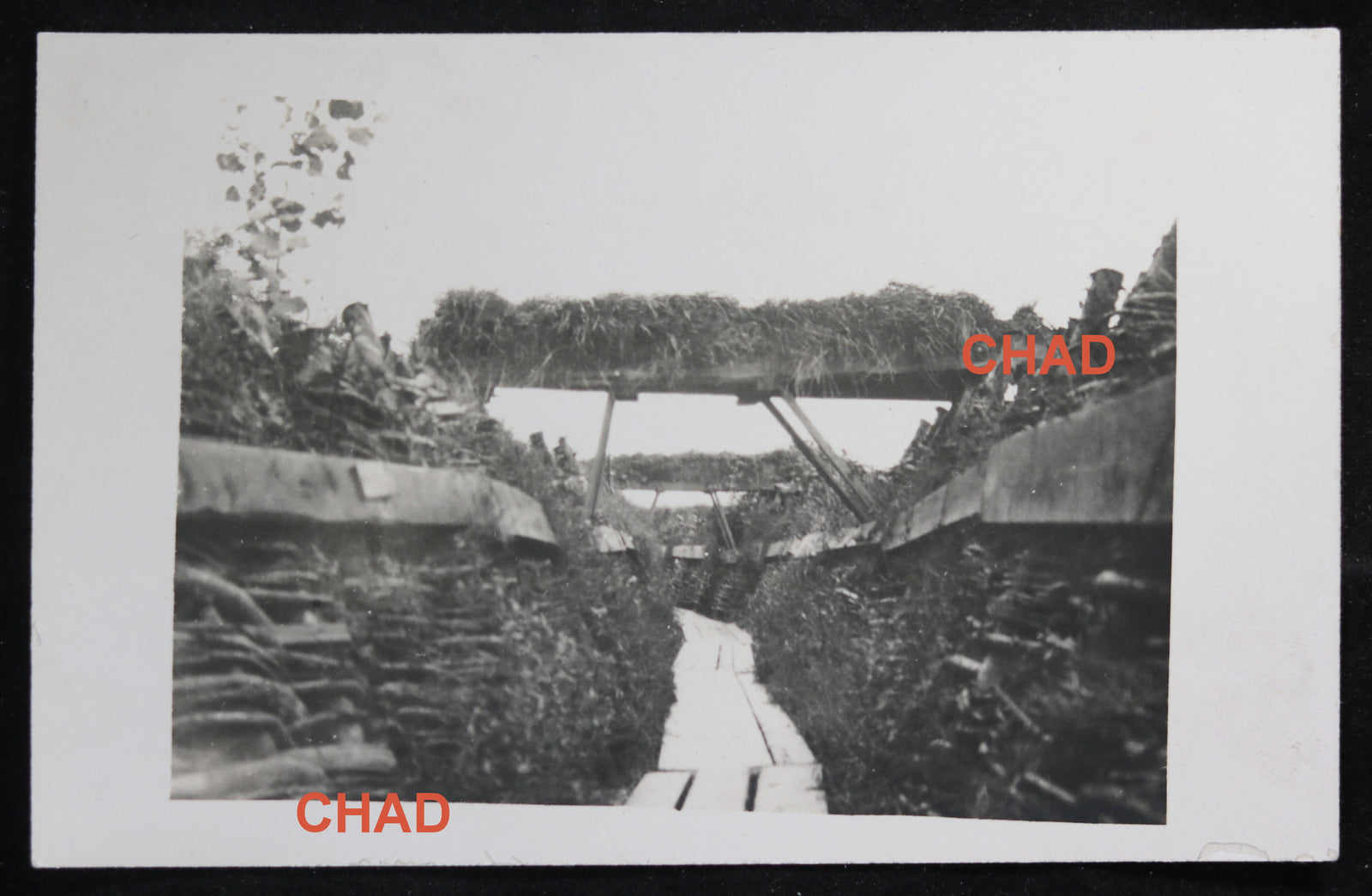 WW1 RPPC German photo of trenches Ypres November 1916 #2