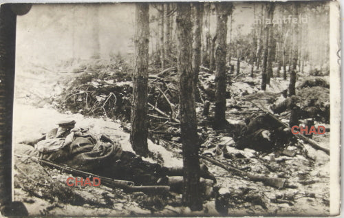 WW1 photo postcard of dead soldier on ground WW1 photo postcard of dead soldier on ground