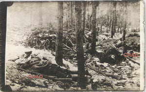 WW1 RPPC photo postcard of dead German soldiers in forest