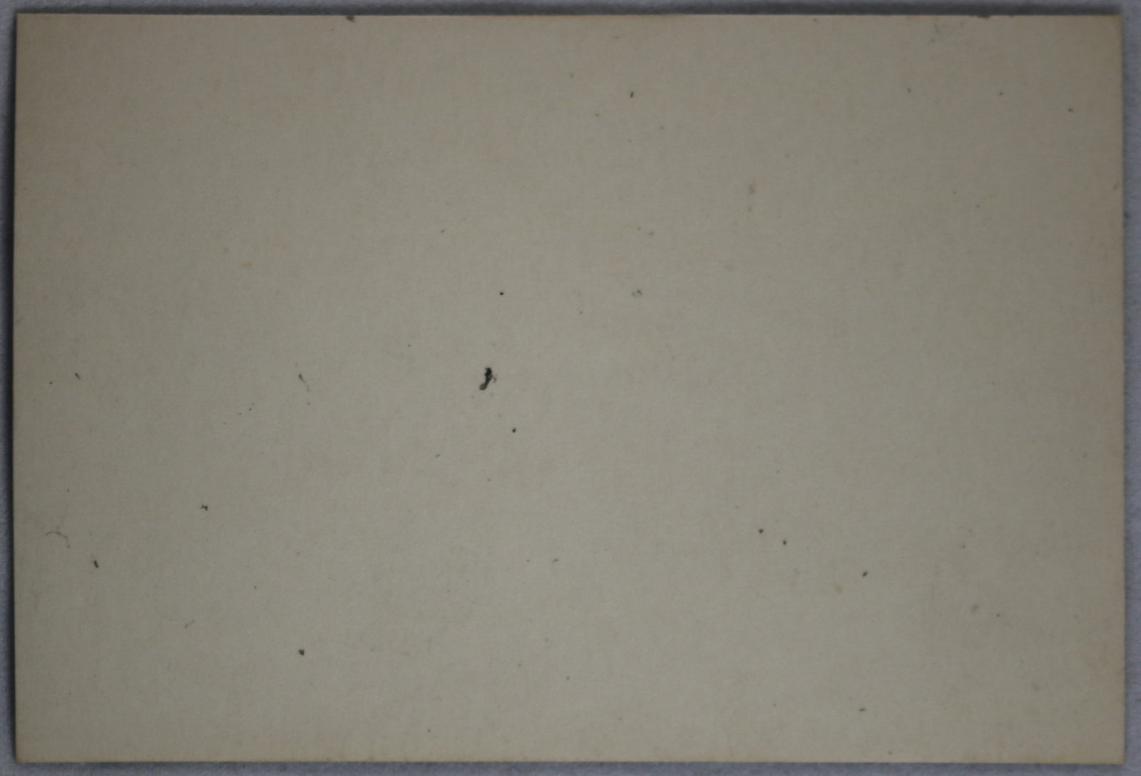 WW1 photo German field hospital inside church