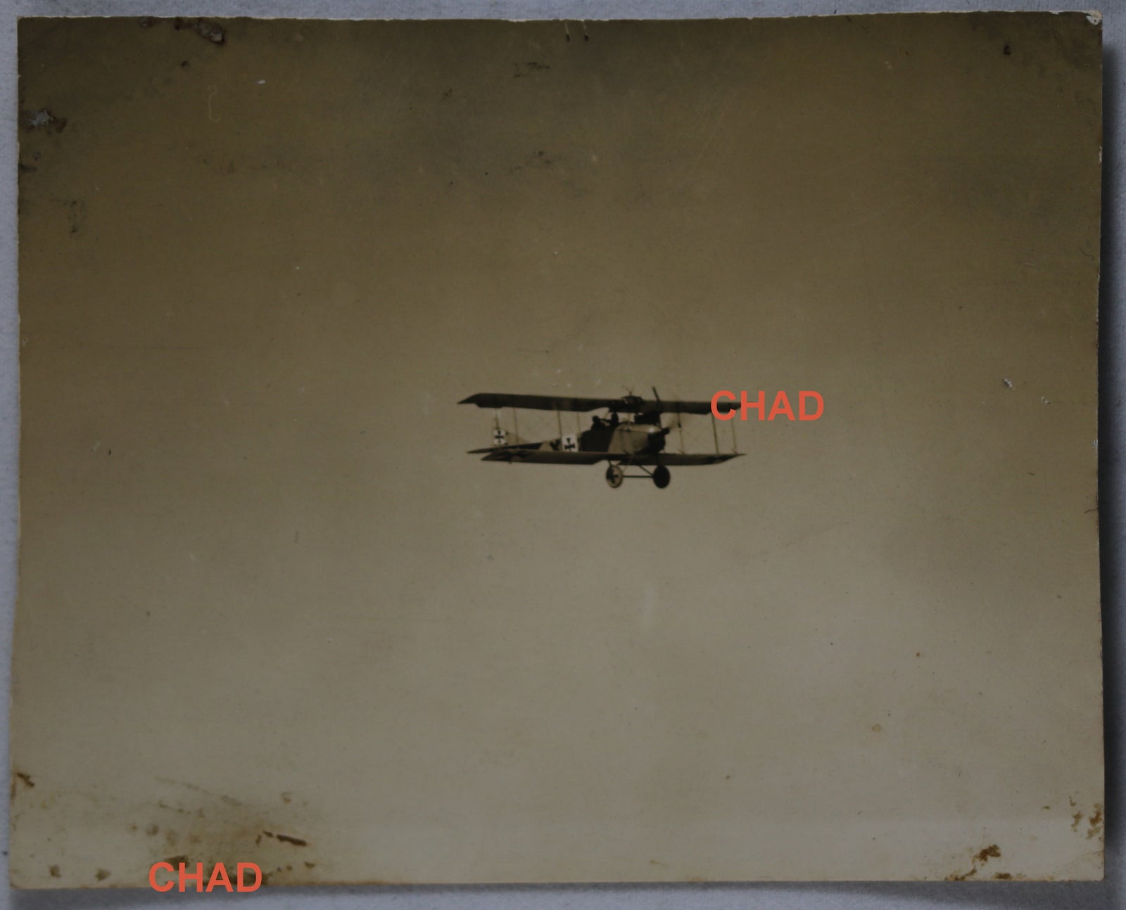 WW1 photo of German biplane fighter in flight