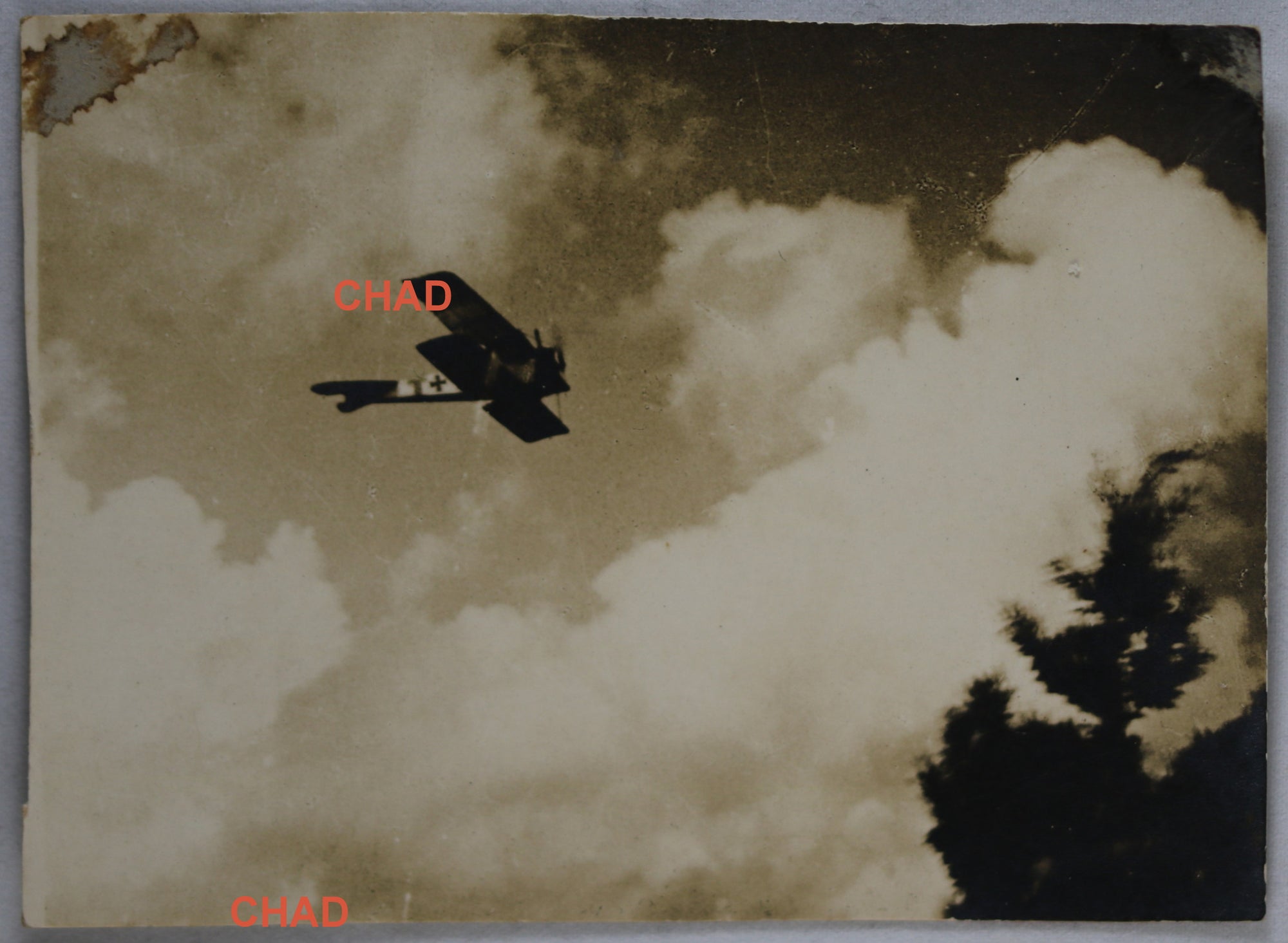 WW1 photo of German biplane fighter in flight #2