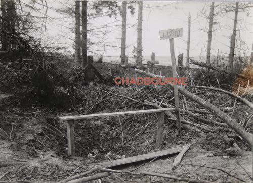 WW1 photo of German war graves in a forest (France)